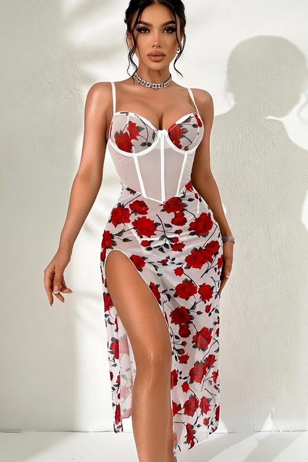 Sheer Rose Print Mesh Corset Dress