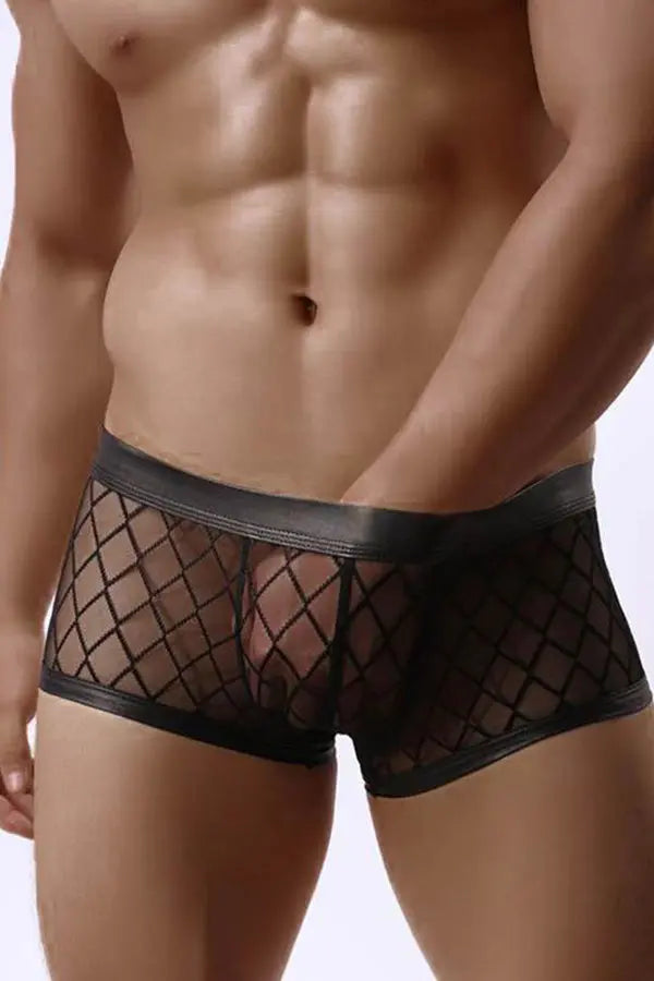 Mens Sexy Sheer Black Boxer Underwear Lingerie Diva