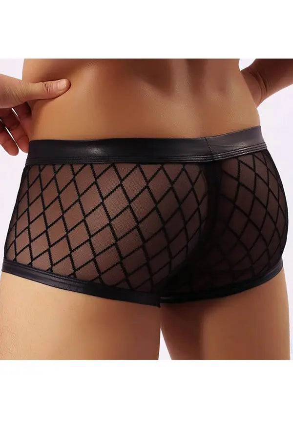 Mens Sexy Sheer Black Boxer Underwear Lingerie Diva