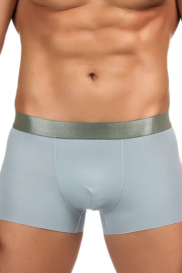 Men's Model Gray Boxer Brief Lingerie Diva