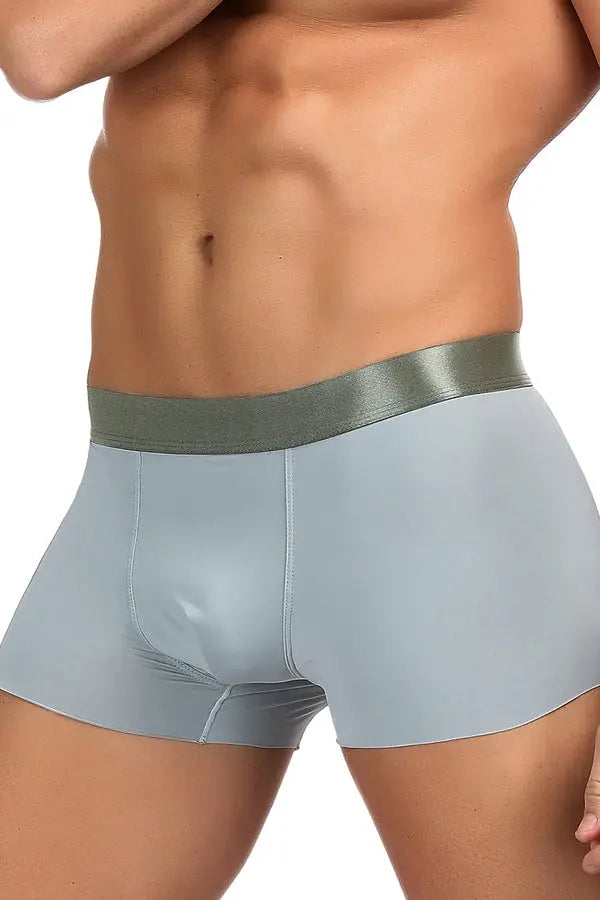Men's Model Gray Boxer Brief Lingerie Diva