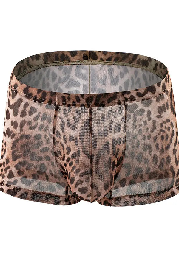 Men's Sexy Leopard Print Sheer Mesh Boxer Briefs Lingerie Diva