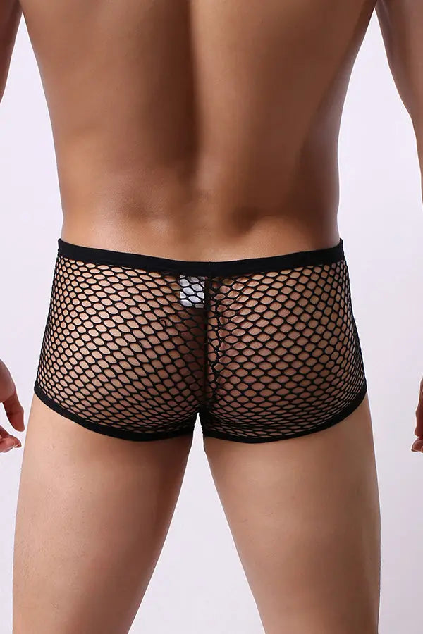 Men's Sexy Black Fishnet Mesh Boxer Briefs Lingerie Diva