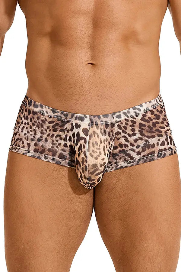 Men's Sexy Leopard Print Sheer Mesh Boxer Briefs Lingerie Diva