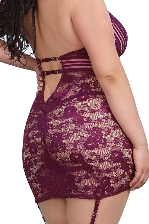 Plus Size Garter Slip with Sheer Stripped Elastic Details