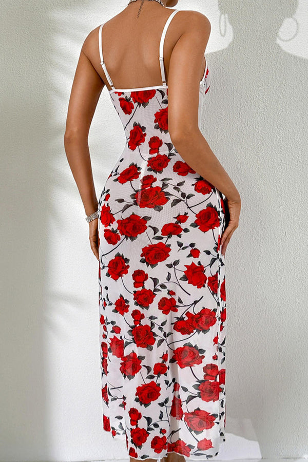 Sheer Rose Print Mesh Corset Dress