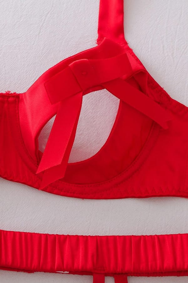 Red Bow Accent Underwire Bra and Garter Set