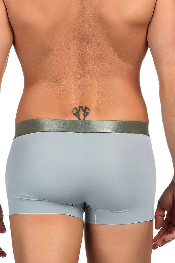 Men&#39;s Model Gray Boxer Brief Lingerie Diva
