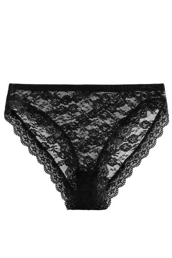 Black Sheer Lace Brief Panty FineToo