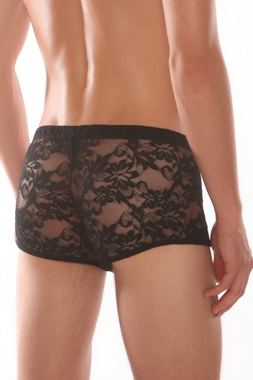 Men's Stretch Black Lace Mini Briefs