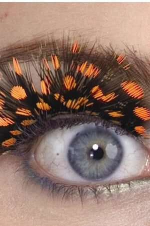 Orange Spotted Eyelashes - LingerieDiva