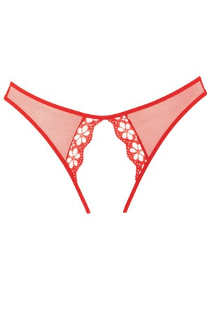 Mirabelle Plum Red Panty